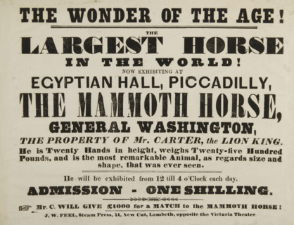 The Wonder of the Age! The Largest Horse in the World, now exhibiting at Egyptian Hall, Piccadilly,