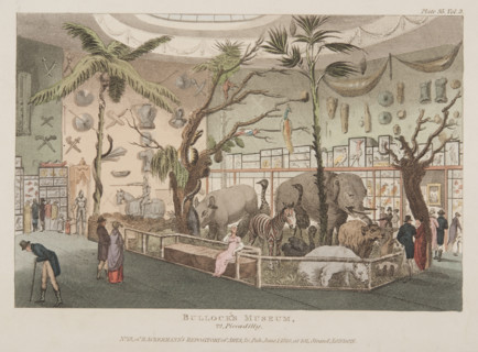 Bullock's Museum, 22 Piccadilly, c1815. British traveller, naturalist and antiquarian William