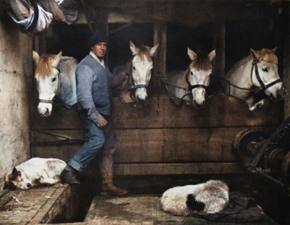 'Captain Oates, on the "Terra Nova" with the Siberian Ponies', c1911, (1914). British Antarctic