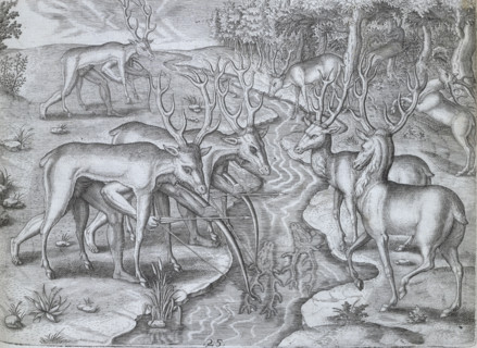 Indians using deer skins to hunt deer, 1591. Plate XXV from "America. Part II.- Latin" by Theodore