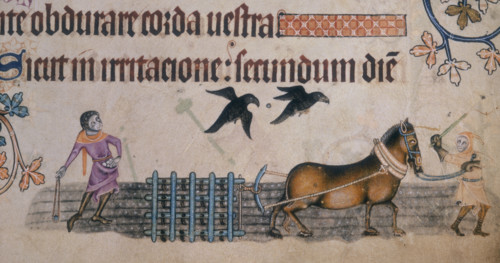 Two farm workers with a harrow, c1300-c1340. The man on the left uses a slingshot to chase away