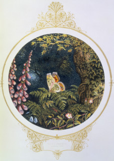 'Till on a green fern's nodding crest', 1870. From "Fairy Mary's Dream", written and illustrated by