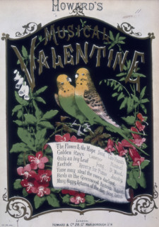 'Howard's Musical Valentine', 1876. Sheet music cover with two budgerigars and a list of the songs.