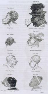 Head shapes of apes and humans, 1854. 'Orang-Outan; Hottentot Wagoner - Caffre War. Chimpanzee.