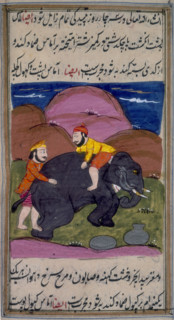 Two men treating an elephant, c1700-c1899. An elephant lying on the ground, with one man on its