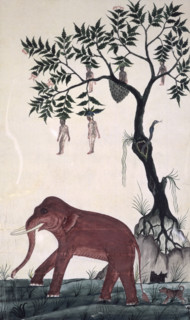 'Lady fruits' & elephant. c.1824. An elephant and naked women growing from a magic tree in the