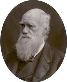Charles Darwin, 1878. Darwin started his career on board the HMS 'Beagle' and spent six years