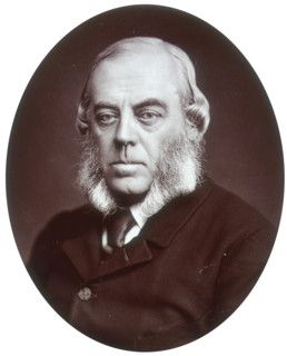 Duke of Malborough, Lord Lieutenant of Ireland, 1881. John Winston Spencer Churchill (1822-1883),