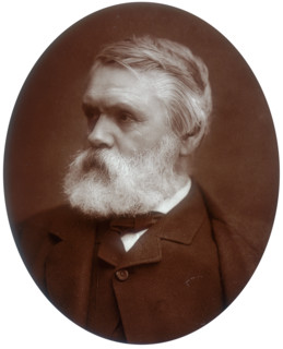 Tom Taylor, dramatist and critic, 1881. Taylor (1817-1880) was a popular Victorian playwright who