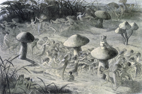 'Water lilies and water fairies of the period', c1869-c1870. An assortment of fairies, nymphs and