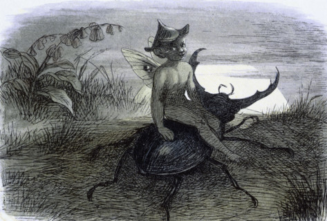 'Water lilies and water fairies of the period', c1869-c1870. 'The Fairy Queen's messenger'. A fairy