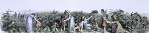 'Water lilies and water fairies of the period', c1869-c1870. An assortment of fairies, nymphs and