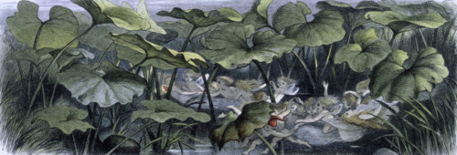 'Water lilies and water fairies of the period', c1869-c1870. Wood elves at play. An assortment of