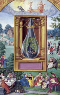 The peacock's tail, 1582. In a crowned alchemical flask between gold columns is a peacock with its