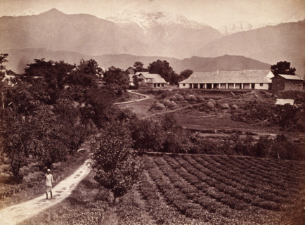 Baijnath tea factory, 1860s. Bungalow and tea gardens on the Baijnath Tea Estate, Kangra Valley,