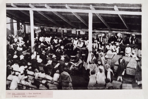 Tea auction, probably in Calcutta, India, c1880. The European men wear bowler hats and pith helmets