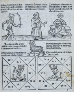 Horoscope types, 1488. These little images show a horoscope and indicate the likely character of