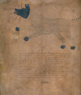 Illustration of the constellation Sirius, with text, c820-840 AD. Sirius is the brightest star in