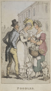 'Poodles', 1820. Three people admiring some puppies. From Rowlandsons Characteristic Sketches Of