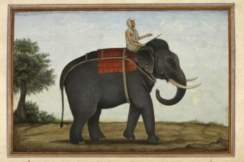 An elephant keeper riding his elephant, 1825 . From Tashrih Al Aqvam An Account Of Origins And