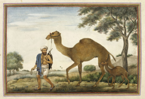Ribari, a caste of camel-men, 1825. From Tashrih Al Aqvam An Account Of Origins And Occupations Of