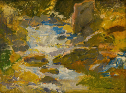 Stream in a forest, c1900.