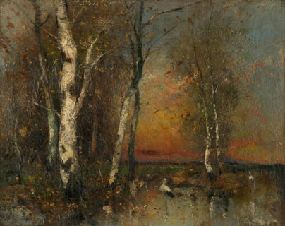 Forest landscape, 1880-1925.