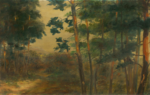 Forest view, 1902-1908.