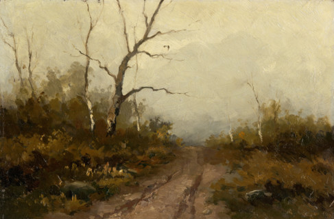 Forest scene, 1890-1900.