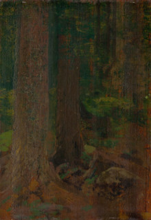 Forest study, 1890-1910.