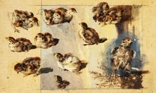 Study of Chicks, 1840-1850.