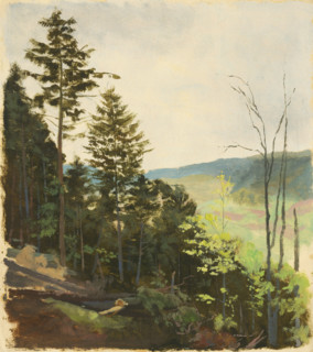 Hill with scrub, 1850-1900.