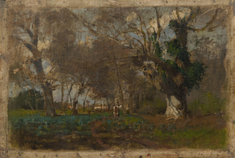 Oak Trees near an Arm of the Váh, 1880-1885.