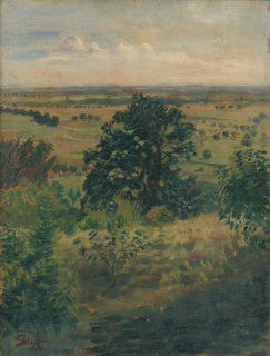 View of Súr, c1948. Landscape in Hungary.