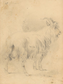 Drawing II., 1850/1857. Additional Info: Drawing album (40 sheets).