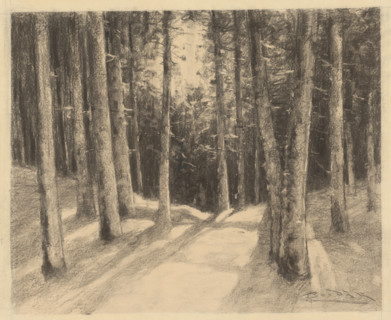 Forest, 1901-1937.