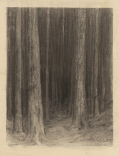 Forest twilight, around 1930.