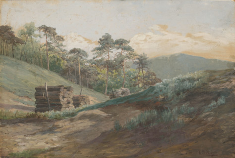 A forest valley with pine trees, around 1894-1895.