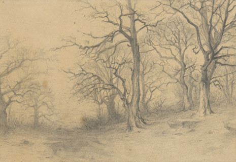 Study of trees, 1897.
