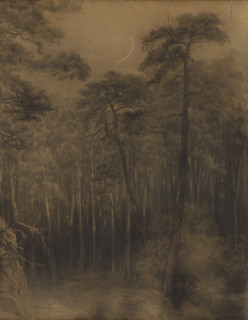 Pine forest, 1892-1893.