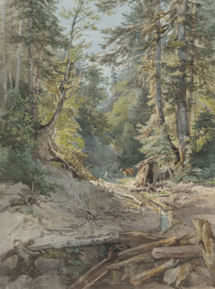 Inside the forest, 1842.