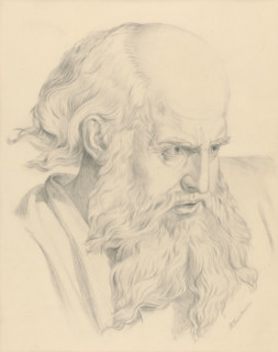 Old man's head, 1879.