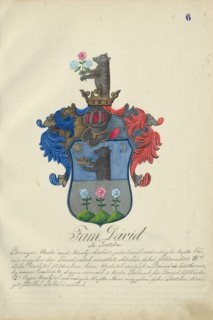 Coat of arms of the David family, 1904.   Additional Info: Adolf Medzihradsky's manuscript album