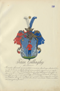 Coat of arms of the Csillaghy family, 1904.   Additional Info: Adolf Medzihradsky's manuscript