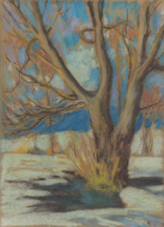 Study of a Bare Tree in Winter, 1934.