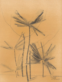Palm trees, 1938.