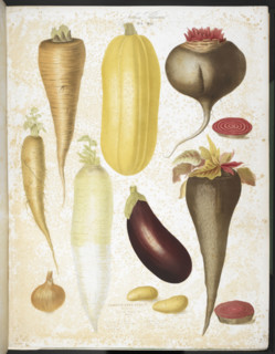 A selection of vegetables, including aubergine, onion, carrot, and potato, 1850.  Creators: Elisa Champin, Mlle Coutance.