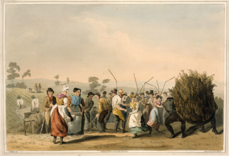Rape threshing, 1814.  Creators: Daniel Havell, Robert Havell.