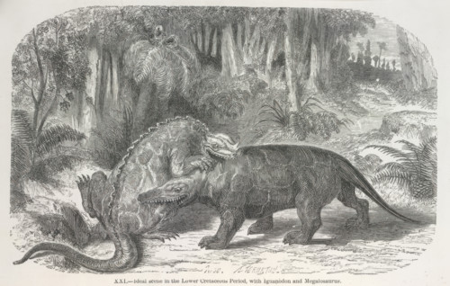 'Ideal scene in the Lower Cretaceous period, with Iguanodon and Megalosaurus', 1865.  Creator: Unknown.