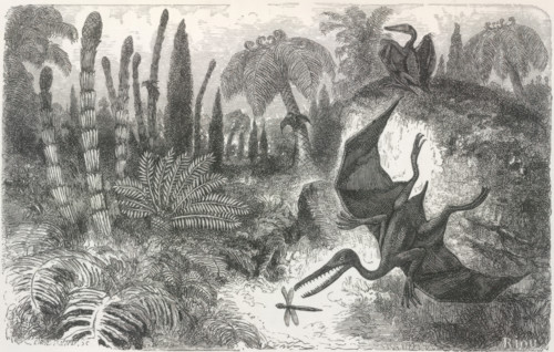 'Imaginary Landscape during the Secondary Epoch, with Pterodactyls, Lias Period', 1865.  Creator: Unknown.